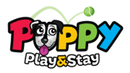 Puppy Play and Stay
